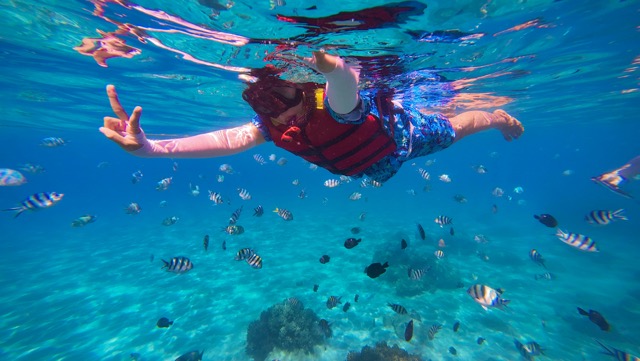 Snorkeling guidato a Stintino